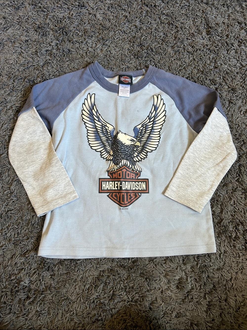 Harley-Davidson Light Blue Long Sleeve Eagle Raglan Tee